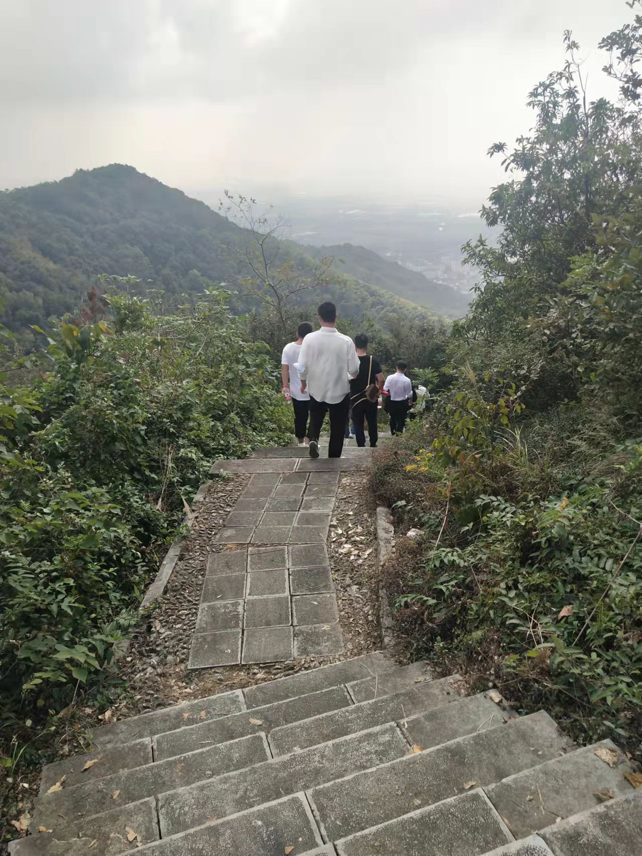微信图片_202111011814473.jpg