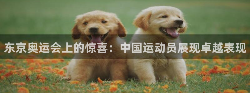 东京奥运会上的惊喜：中国运动员展现卓越表现