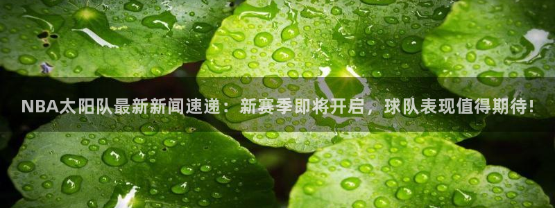 NBA太阳队最新新闻速递：新赛季即将开启，球队表现值得期待!