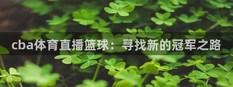cba体育直播篮球：寻找新的冠军之路