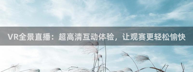 VR全景直播：超高清互动体验，让观赛更轻松愉快