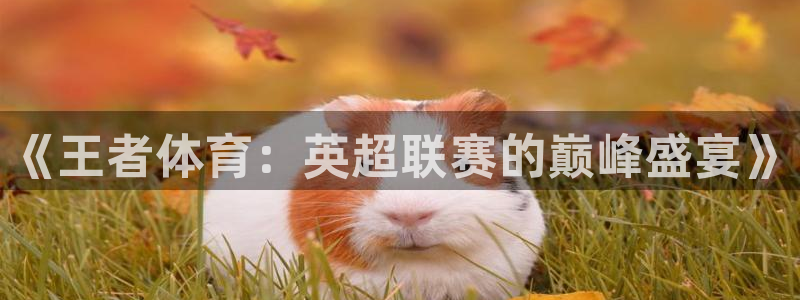 《王者体育：英超联赛的巅峰盛宴》