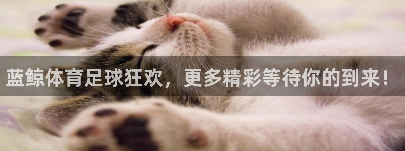 蓝鲸体育足球狂欢，更多精彩等待你的到来！
