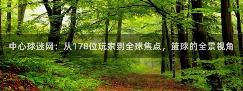 中心球迷网：从178位玩家到全球焦点，篮球的全景视角