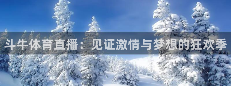 斗牛体育直播：见证激情与梦想的狂欢季