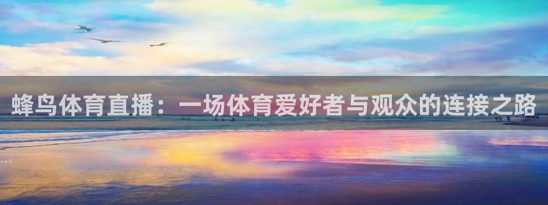 蜂鸟体育直播：一场体育爱好者与观众的连接之路