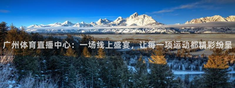 广州体育直播中心：一场线上盛宴，让每一项运动都精彩纷呈