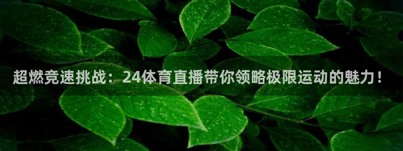 超燃竞速挑战：24体育直播带你领略极限运动的魅力！