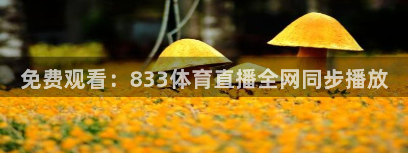 免费观看：833体育直播全网同步播放