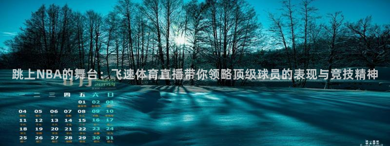 跳上NBA的舞台：飞速体育直播带你领略顶级球员的表现与竞技精神