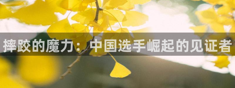 摔跤的魔力：中国选手崛起的见证者