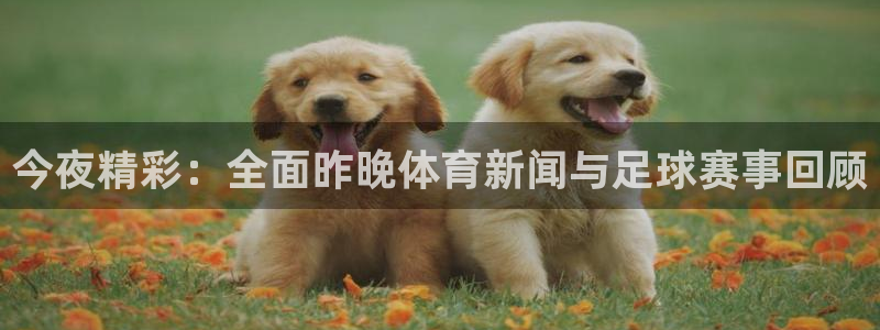 今夜精彩：全面昨晚体育新闻与足球赛事回顾