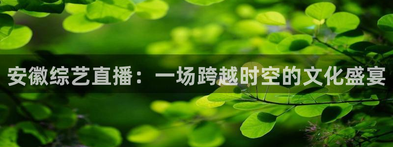 安徽综艺直播：一场跨越时空的文化盛宴