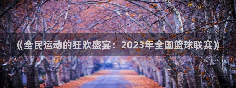 《全民运动的狂欢盛宴：2023年全国篮球联赛》