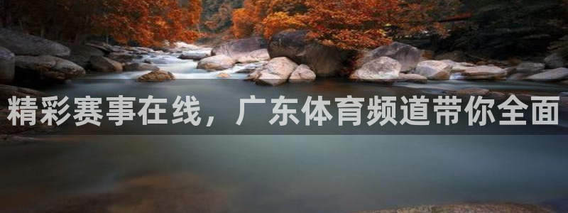 精彩赛事在线，广东体育频道带你全面