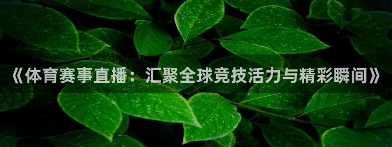 《体育赛事直播：汇聚全球竞技活力与精彩瞬间》