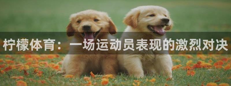 柠檬体育：一场运动员表现的激烈对决