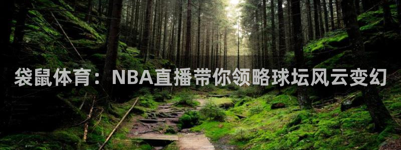 袋鼠体育：NBA直播带你领略球坛风云变幻