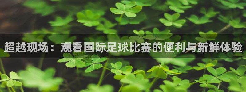 超越现场：观看国际足球比赛的便利与新鲜体验