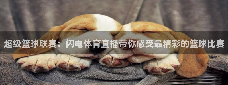 超级篮球联赛：闪电体育直播带你感受最精彩的篮球比赛
