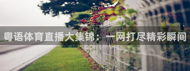 粤语体育直播大集锦：一网打尽精彩瞬间