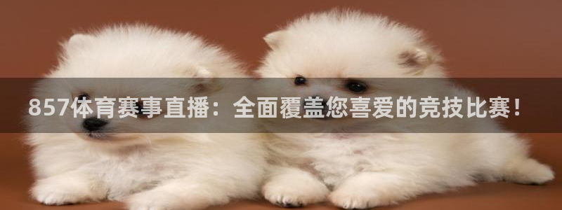 857体育赛事直播：全面覆盖您喜爱的竞技比赛！