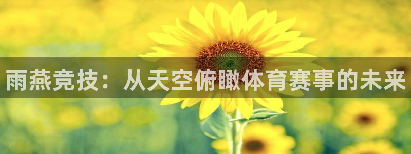 雨燕竞技：从天空俯瞰体育赛事的未来
