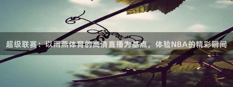 超级联赛：以雨燕体育的高清直播为基点，体验NBA的精彩瞬间