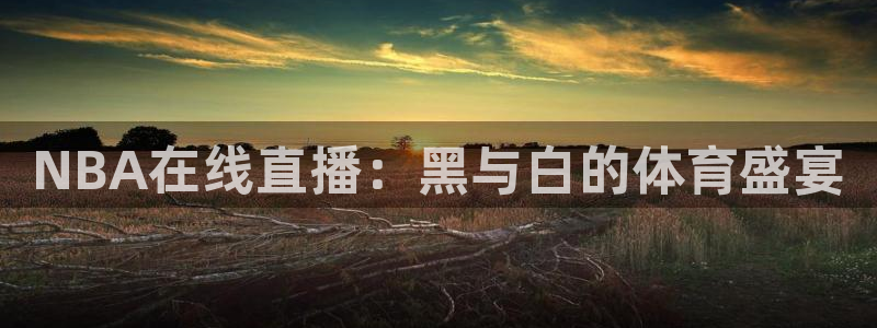 NBA在线直播：黑与白的体育盛宴