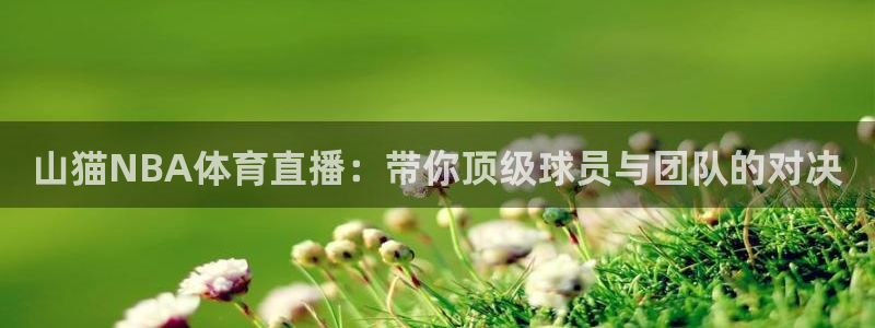 山猫NBA体育直播：带你顶级球员与团队的对决