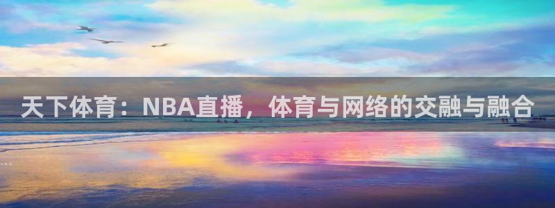 天下体育：NBA直播，体育与网络的交融与融合