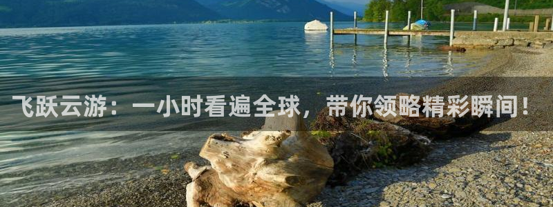 飞跃云游：一小时看遍全球，带你领略精彩瞬间！