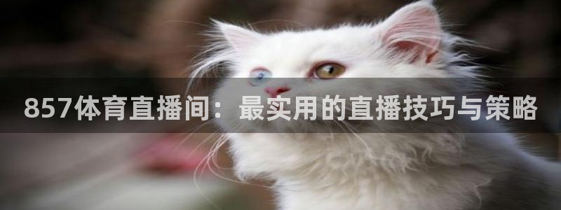 857体育直播间：最实用的直播技巧与策略
