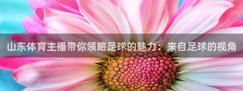 山东体育主播带你领略足球的魅力：来自足球的视角