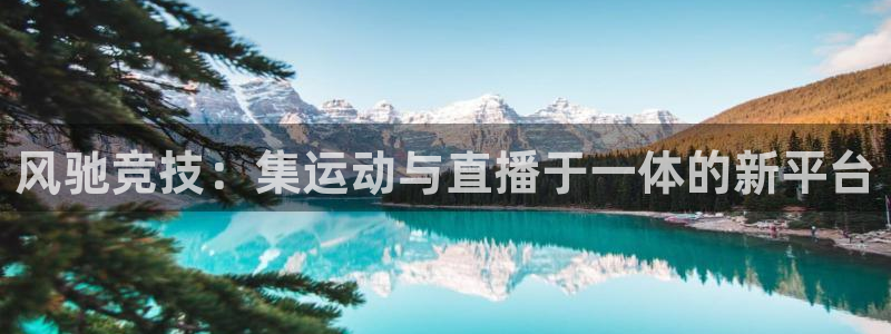 风驰竞技：集运动与直播于一体的新平台