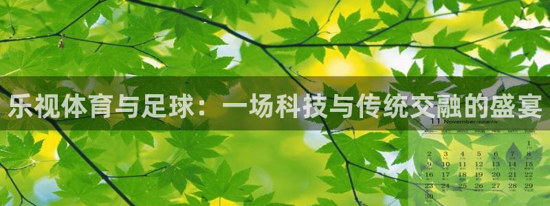 乐视体育与足球：一场科技与传统交融的盛宴