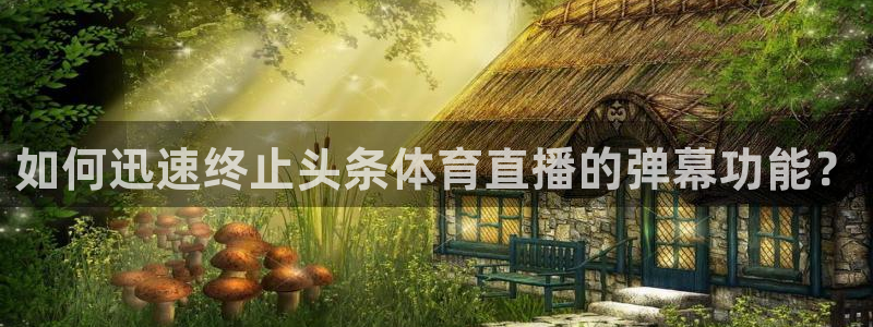 如何迅速终止头条体育直播的弹幕功能？
