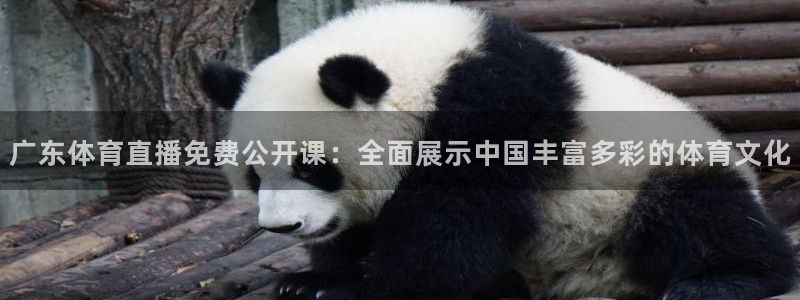 广东体育直播免费公开课：全面展示中国丰富多彩的体育文化