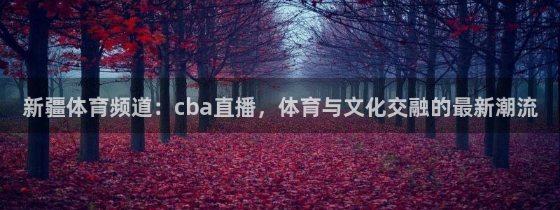 新疆体育频道：cba直播，体育与文化交融的最新潮流