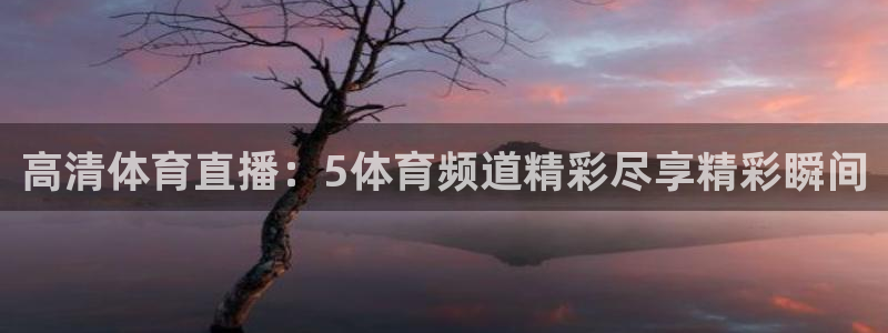高清体育直播：5体育频道精彩尽享精彩瞬间