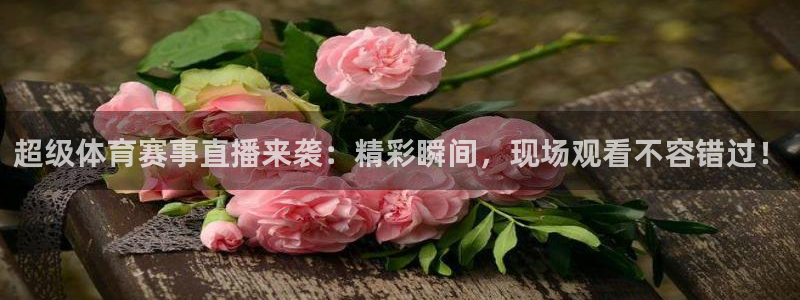 超级体育赛事直播来袭：精彩瞬间，现场观看不容错过！