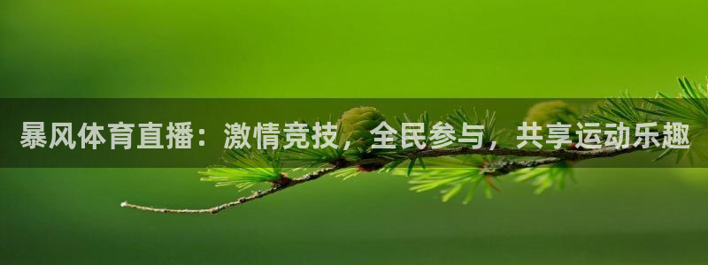 暴风体育直播：激情竞技，全民参与，共享运动乐趣