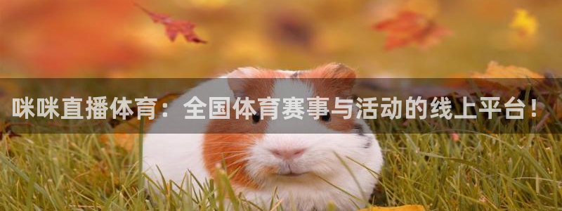 咪咪直播体育：全国体育赛事与活动的线上平台！