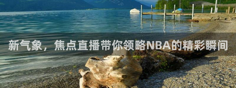 新气象，焦点直播带你领略NBA的精彩瞬间