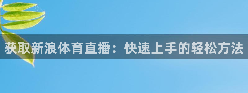 获取新浪体育直播：快速上手的轻松方法