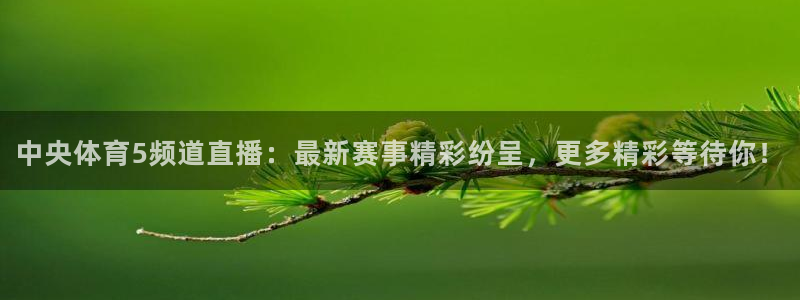 中央体育5频道直播：最新赛事精彩纷呈，更多精彩等待你！