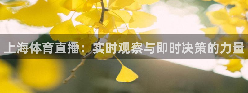 上海体育直播：实时观察与即时决策的力量