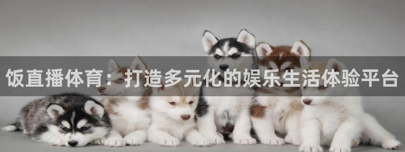 饭直播体育：打造多元化的娱乐生活体验平台