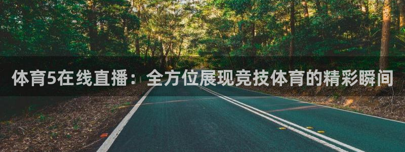 体育5在线直播：全方位展现竞技体育的精彩瞬间