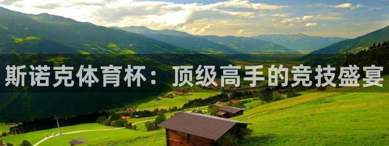 斯诺克体育杯：顶级高手的竞技盛宴
